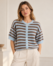 Load image into Gallery viewer, Rita Pale Blue/Chocolate Striped Cardigan