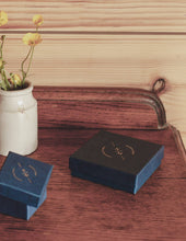 Load image into Gallery viewer, Gold Double Layer Feature Necklace, Waterproof