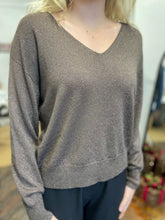 Load image into Gallery viewer, Holly Sparkle V Neck  Chocolate
